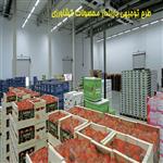 طرح توجیهی بارانداز محصولات کشاورزی | احداث انبار نگهداری نهاده های کشاورزی