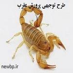 طرح توجیهی پرورش عقرب | سرمایه لازم برای پرورش عقرب