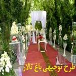 دانلود طرح توجیهی باغ تالار و باغ رستوران pdf+doc | براورد هزینه ساخت باغ تالار در سال 1402