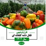 طرح توجیهی گلخانه فلفل دلمه ای ۱۴۰۲ + word و pdf | درامد گلخانه فلفل دلمه ای