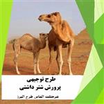 طرح توجیهی پرورش شتر داشتی 1403 ( pdf+word)🐪  برآورد سود پرورش شتر