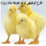 طرح توجیهی احداث کارخانه جوجه کشی 17 میلیون جوجه یک روزه  در سال ⭐️ سود تولید جوجه یک روزه