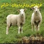 طرح توجیهی پرواربندی بره 500 راسی سال 1404  + word+  pdf