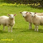 طرح توجیهی پرورش میش داشتی 200 راسی نگارش 1404