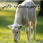 طرح توجیهی پرواربندی بره 250 راسی جهت اخذ مجوز و وام