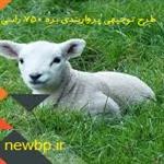 طرح توجیهی بره پرواری 750 راسی جهت اخذ مجوز و وام