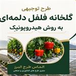 طرح توجیهی گلخانه فلفل دلمه‌ای هیدروپونیک (PDF , doc ) + برآورد هزینه احداث و سودآوری 1405