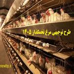 طرح توجیهی مرغ تخمگذار 2000 قطعه ای 1405 برای مجوز و وام + pdf