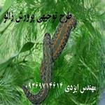 طرح توجیهی پرورش زالو pdf +ورد جدید ویرایش سال 95- برآورد هزینه ها و تجهیزات 