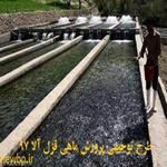 طرح توجیهی پرورش ماهی قزل آلا 1401- طرح توجیهی پرورش ماهی قزل آلا pdf - word نگارش سال 1401