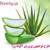 طرح توجیهی کشت گیاه آلوئه ورا (ویرایش 98)