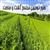 طرح توجیهی مجتمع کشت و صنعت | طرح های توجیهی مجتمع های کشت و صنعت ایران