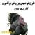 طرح توجیهی پرورش بوقلمون ۵۰۰۰ قطعه | هزینه پرورش بوقلمون در سال ۱۴۰۲